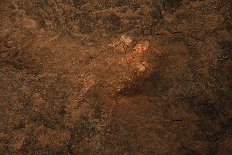 Kanary_2010 200